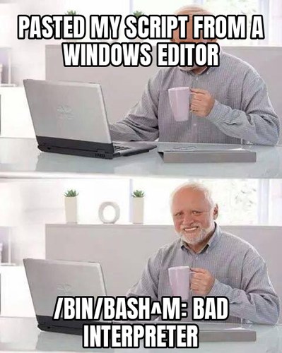 Hide the Pain Harold: “pasted my script from a Windows editor” / “/bin/bash^M: bad interpreter.”