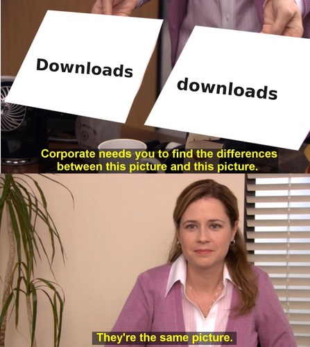 Pam from The Office holding two pages, “Downloads” and “downloads,” captioned “They’re the same picture” — the Windows reflex that case-sensitive Linux punishes.
