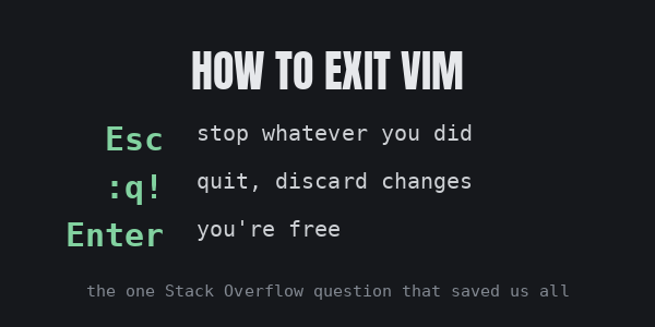 Reference card: how to exit Vim — Esc, then :q!, then Enter.